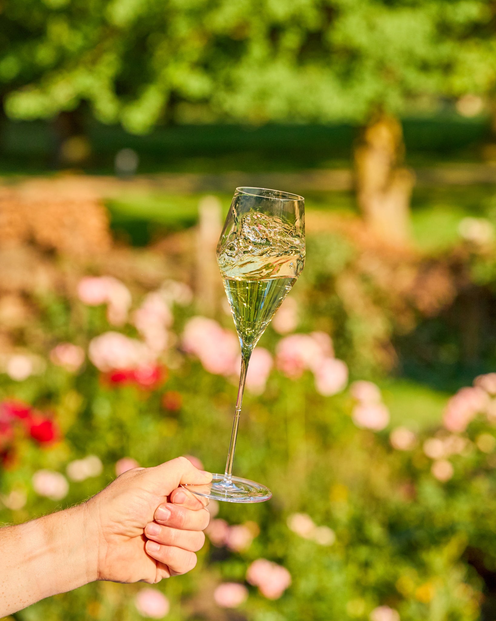 A hand holds a clear  Zalto champagne glass filled with a pale golden beverage in an outdoor garden setting with blurred green foliage and pink flowers in the background.