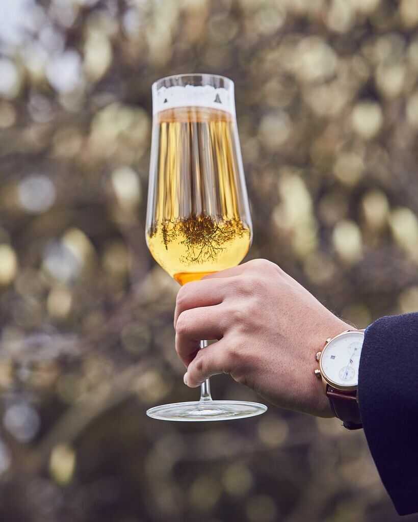 Zalto Beer Glass, zalto denk&#39;art, zalto, zalto glass, zalto glasses, zalto beer, beer glass