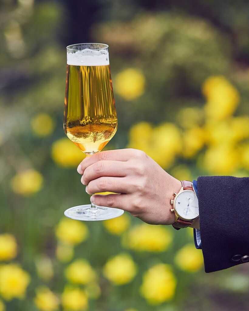 Zalto Beer Glass, zalto denk&#39;art, zalto, zalto glass, zalto glasses, zalto beer, beer glass